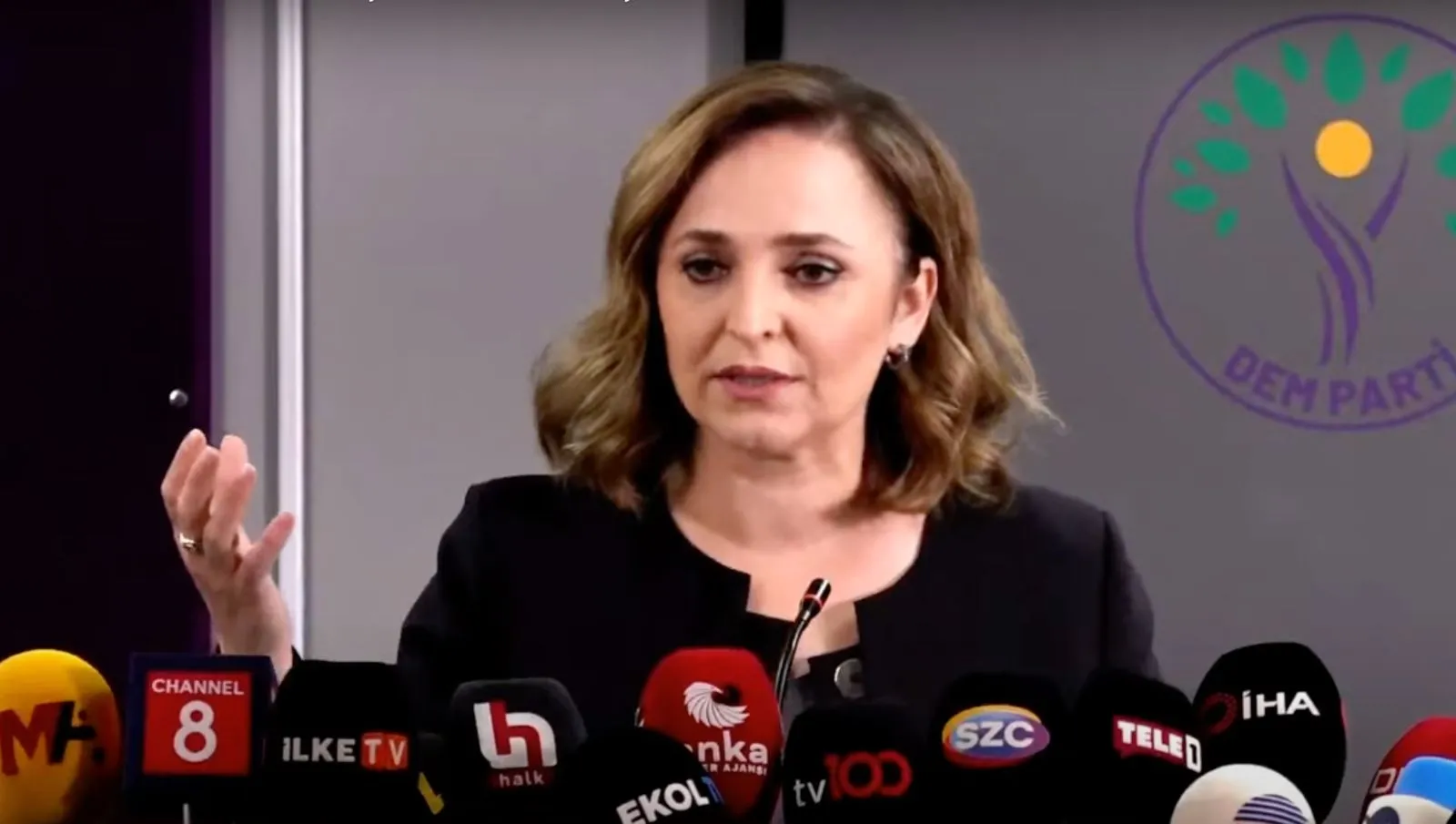 DEM Parti Sözcüsü Ayşegül Doğan