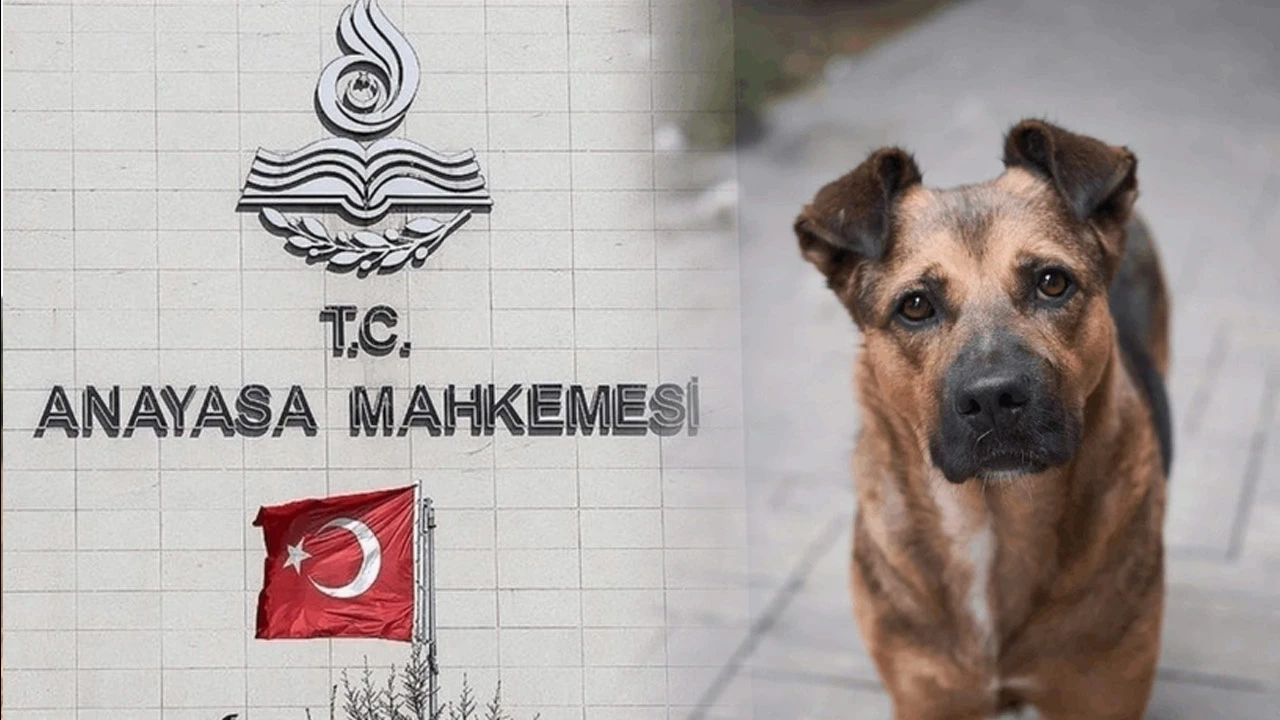 ‘Katliam Yasası’nda AYM kararı