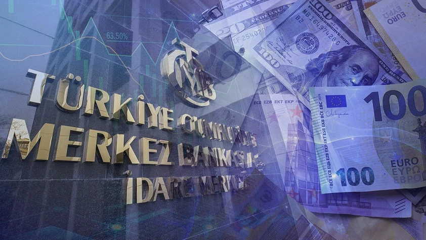 Merkez Bankası anketi: