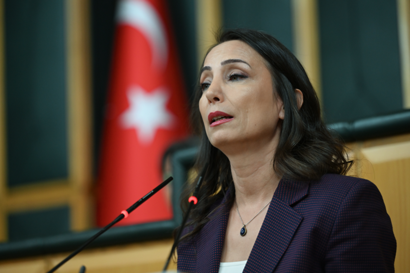 Hatimoğulları Meclis’e tatil yerine görev önerdi