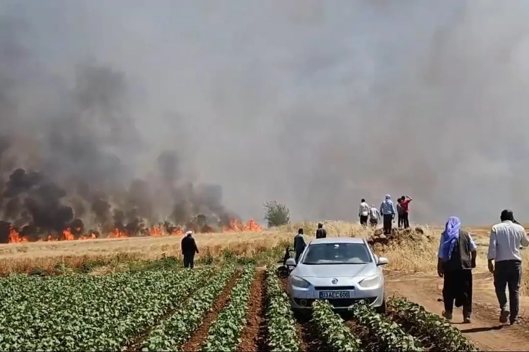 Urfa’da tarla yangını