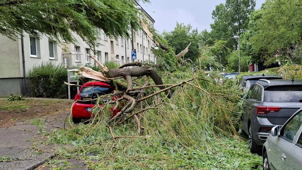 Berlin’de şiddetli fırtına