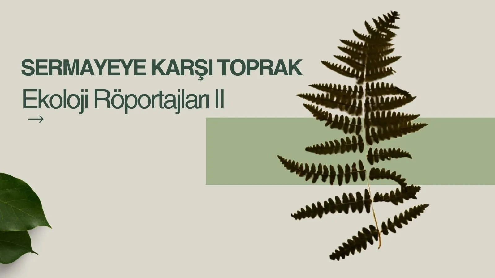 SERMAYEYE KARŞI TOPRAK-2