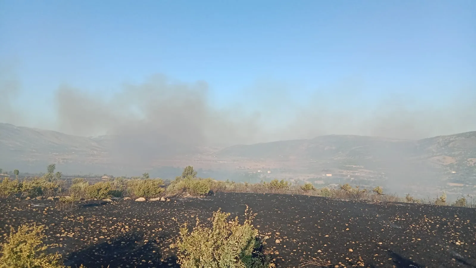 Diyarbakır’da yangın