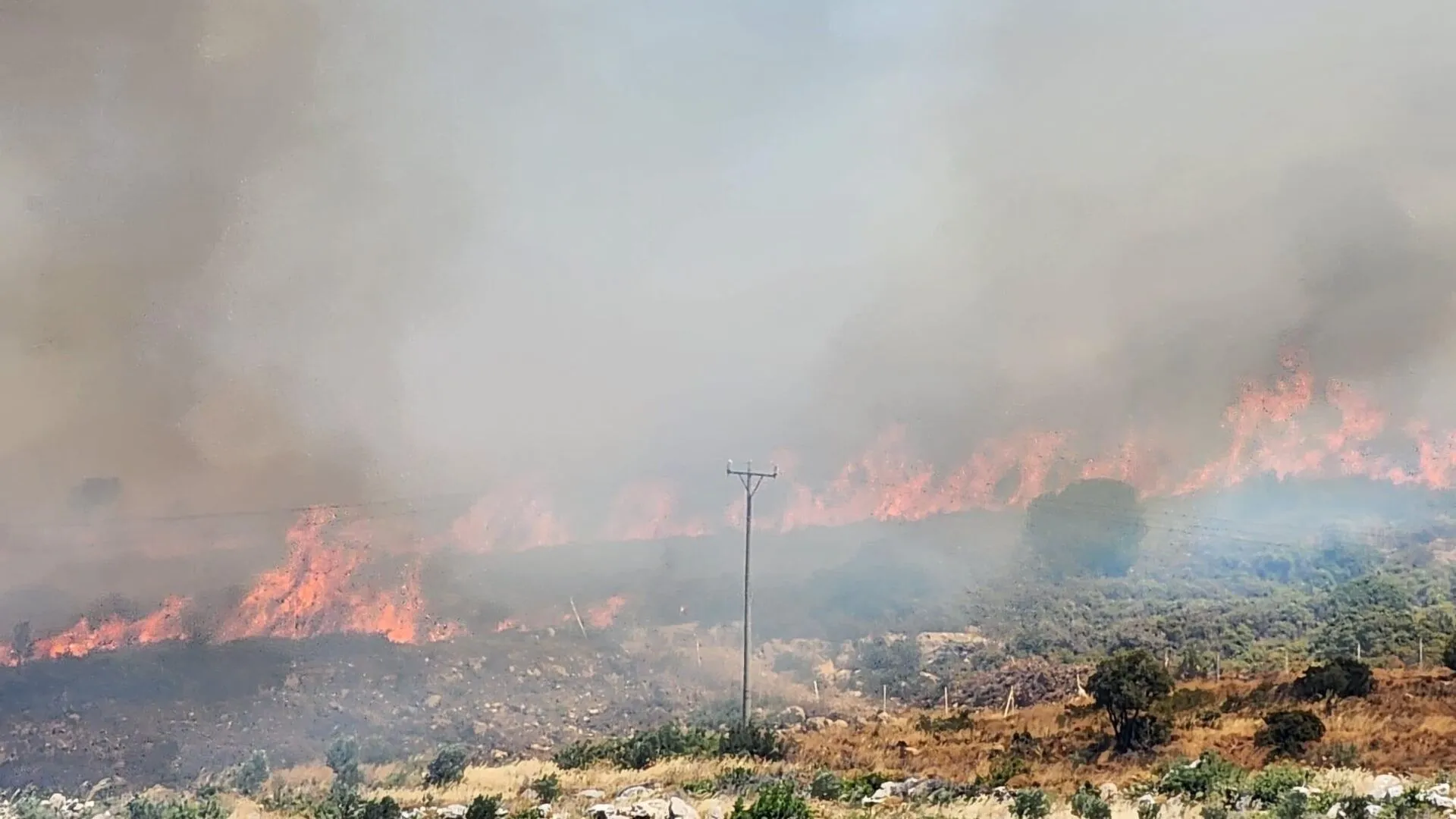 İzmir’de bir ayda 3 bin 300 yangın