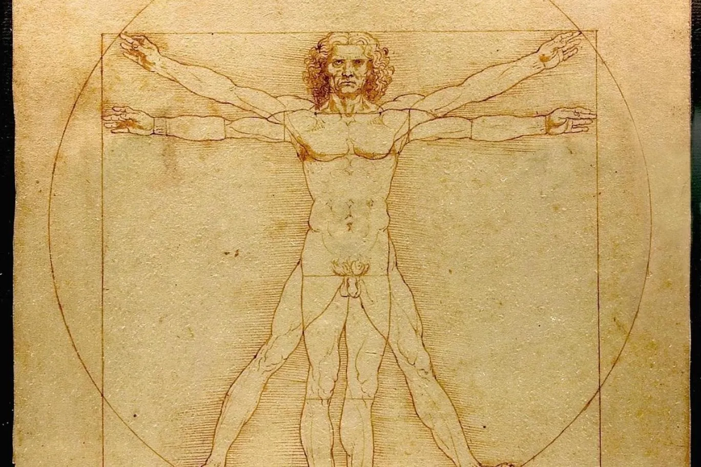 Vitruvius Adamı’nda gizli üçgen