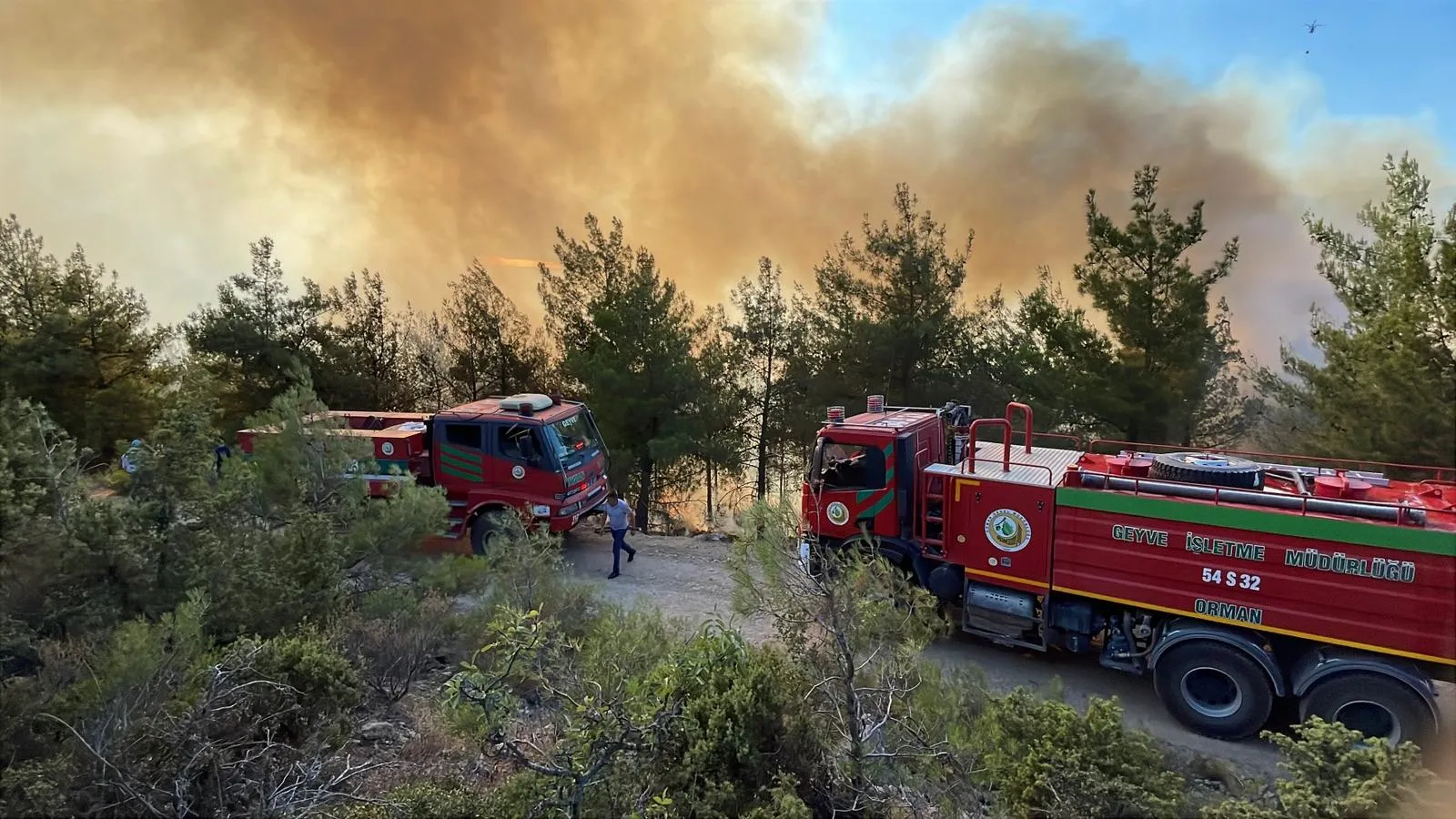 Sakarya’da orman yangını