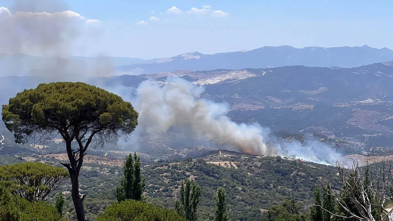 Birçok kentte yangın l