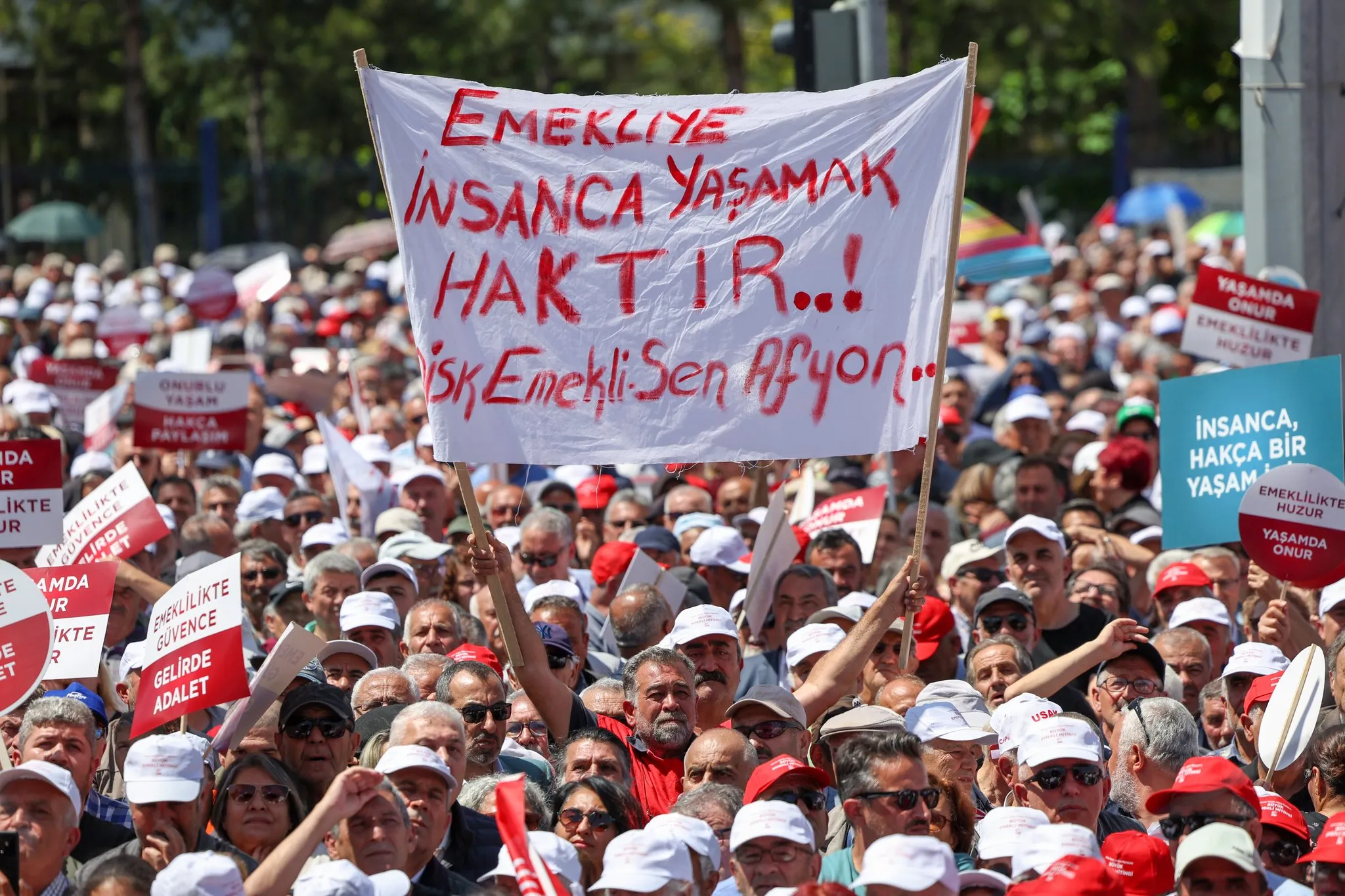 23 yılda yüzde 55.8’lik kayıp