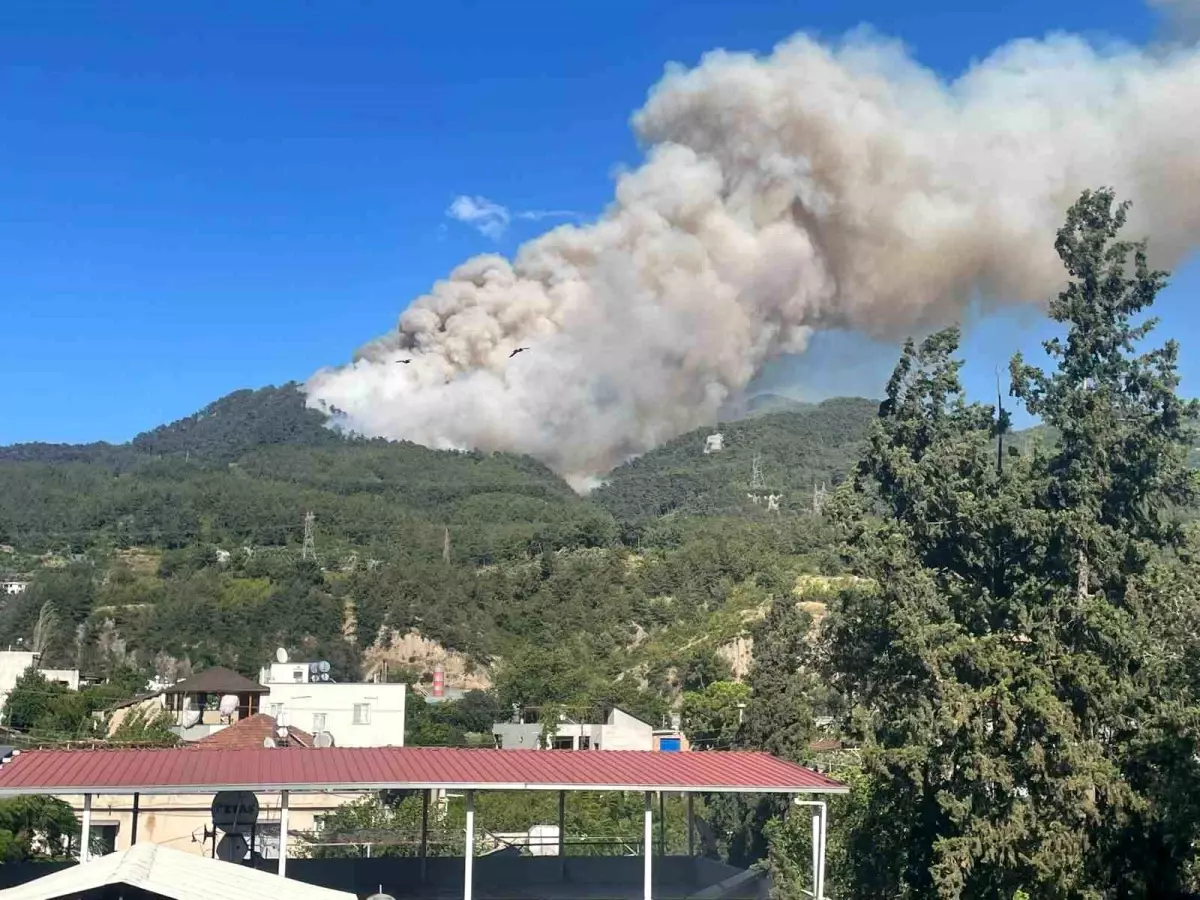 Hatay Dörtyol’da orman yangını