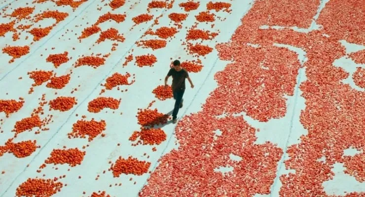 Türkiye’nin Oscar adayı açıklandı: