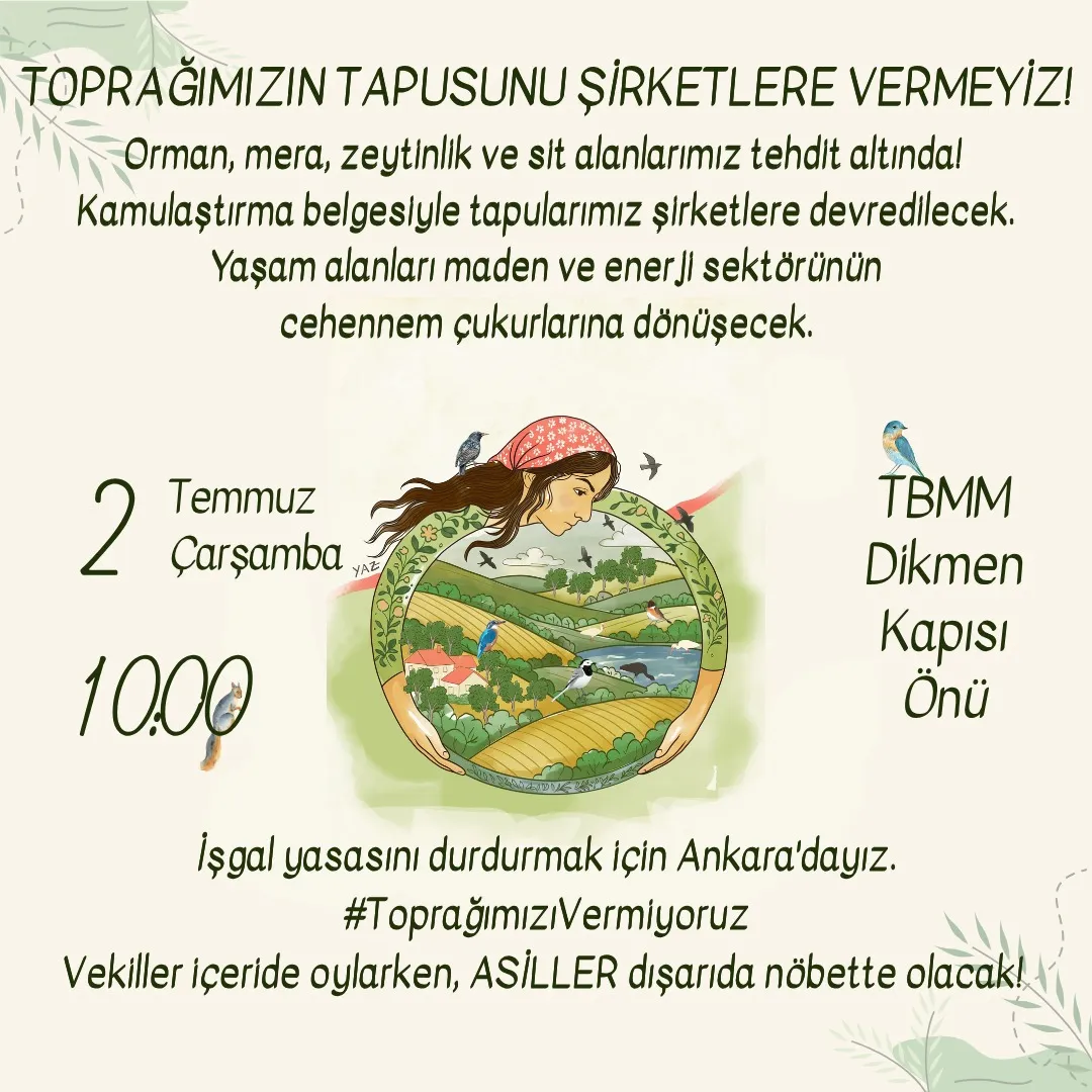 AKP’den “Zeytinlik Yasası” için seferberlik I