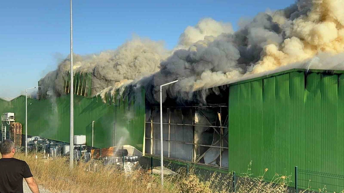 Gönen’de süt ürünleri fabrikasında yangın