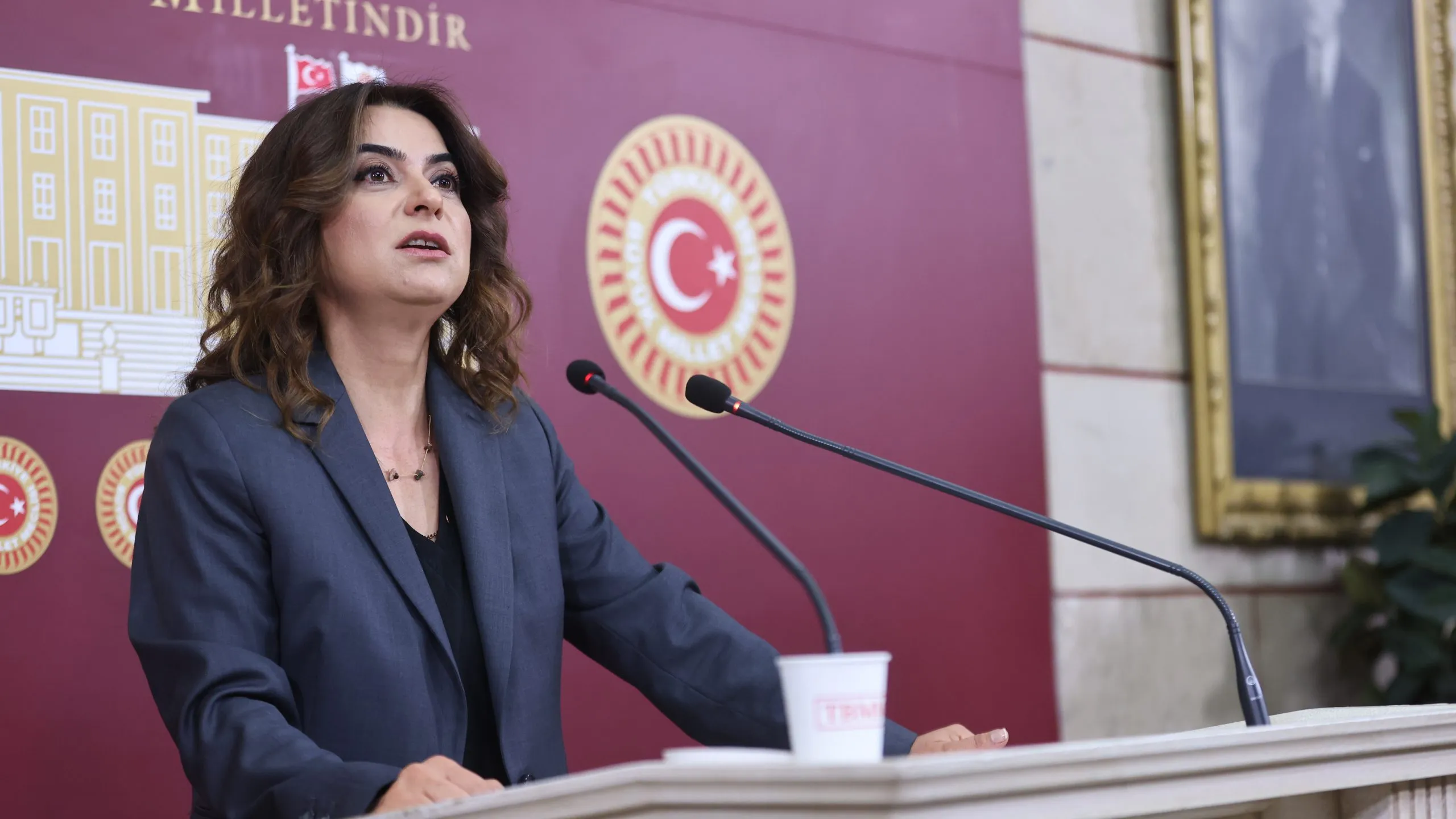 “Toplum bilgilendirilmeli”