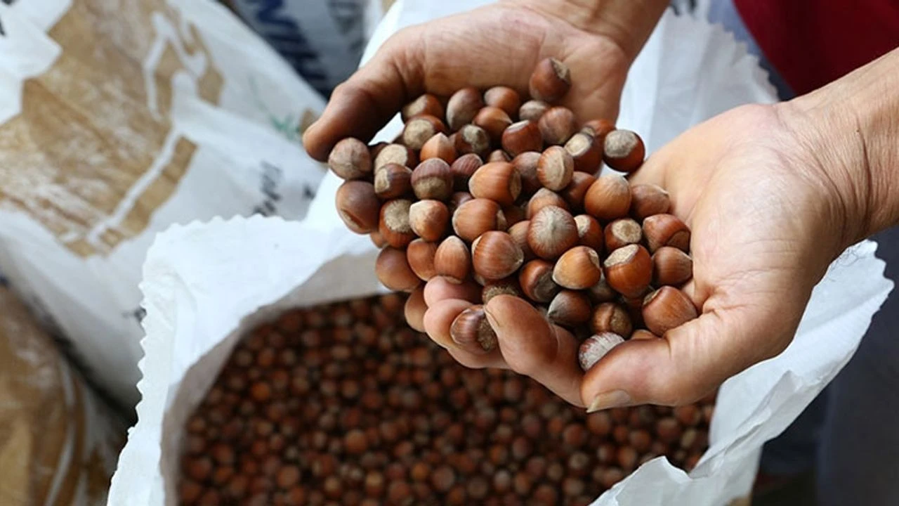 Fındık alım fiyatları açıklandı, tepkiler geldi