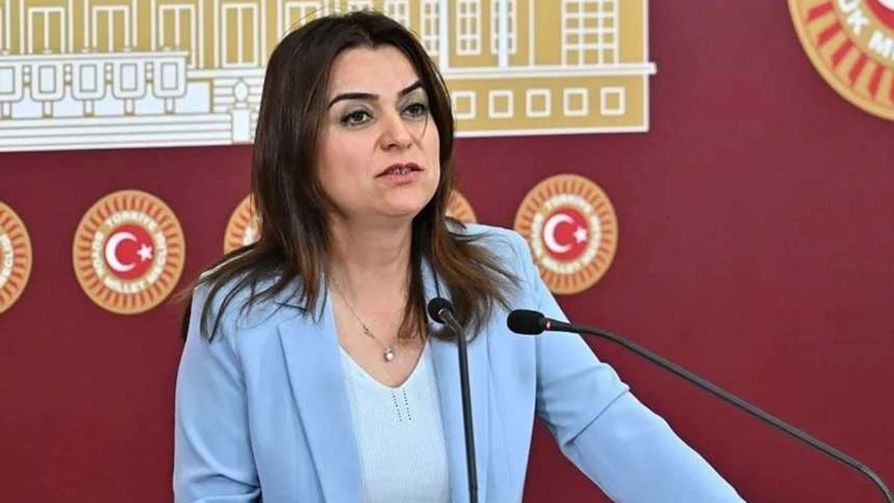 Koçyiğit: Komisyonun bir yol haritası yok