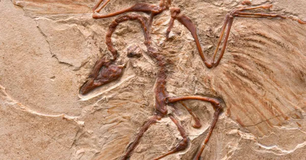 Dinozorlardan önce yaşamış