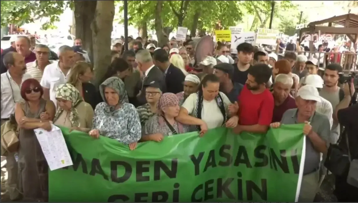 Zeytinin hukuk mücadelesi sürüyor I