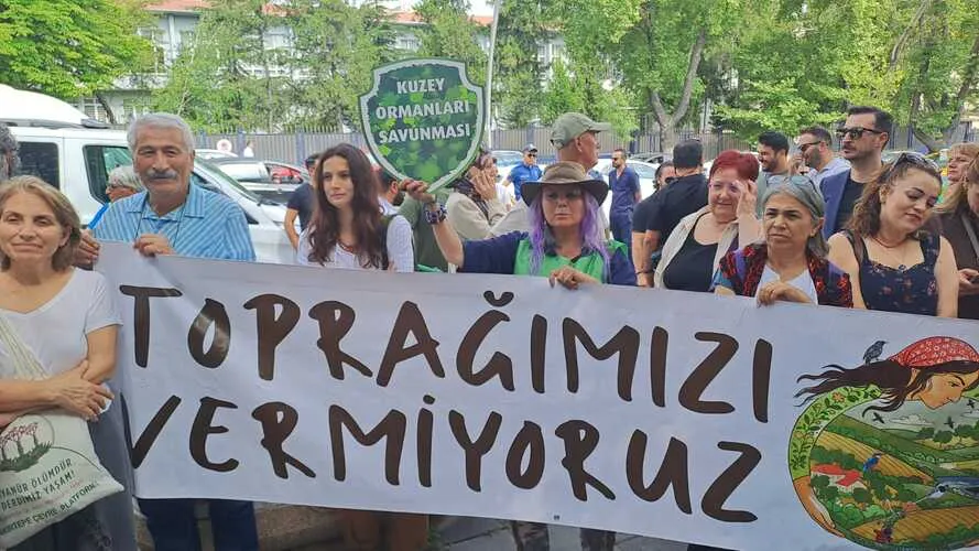 Nadir toprak elementi rezervi I