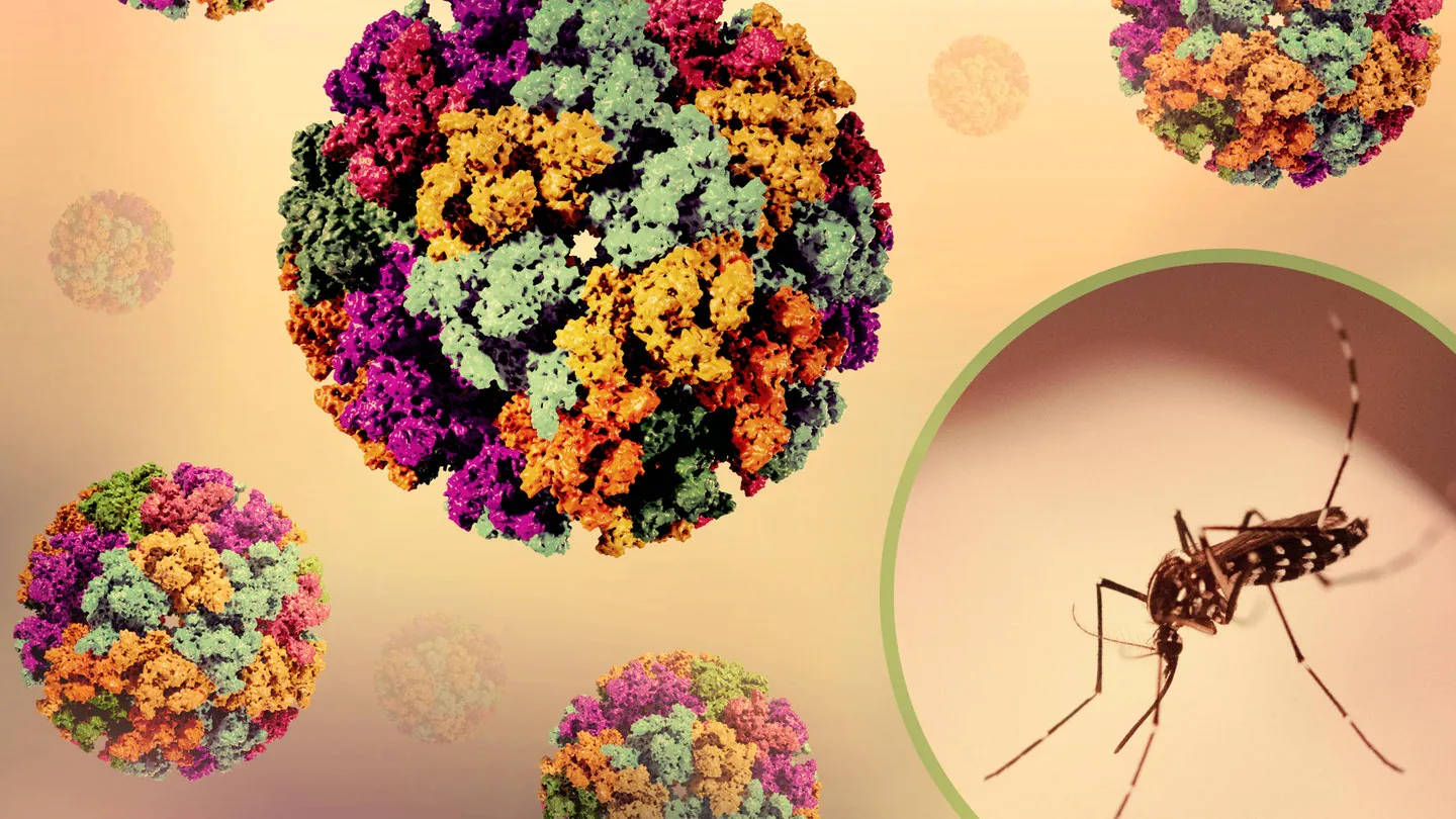 Çin’de Chikungunya salgını için acil durum