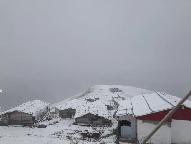 Yılın ilk karı yağdı