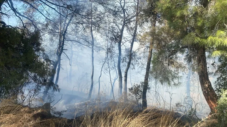 Antalya’da orman yangını