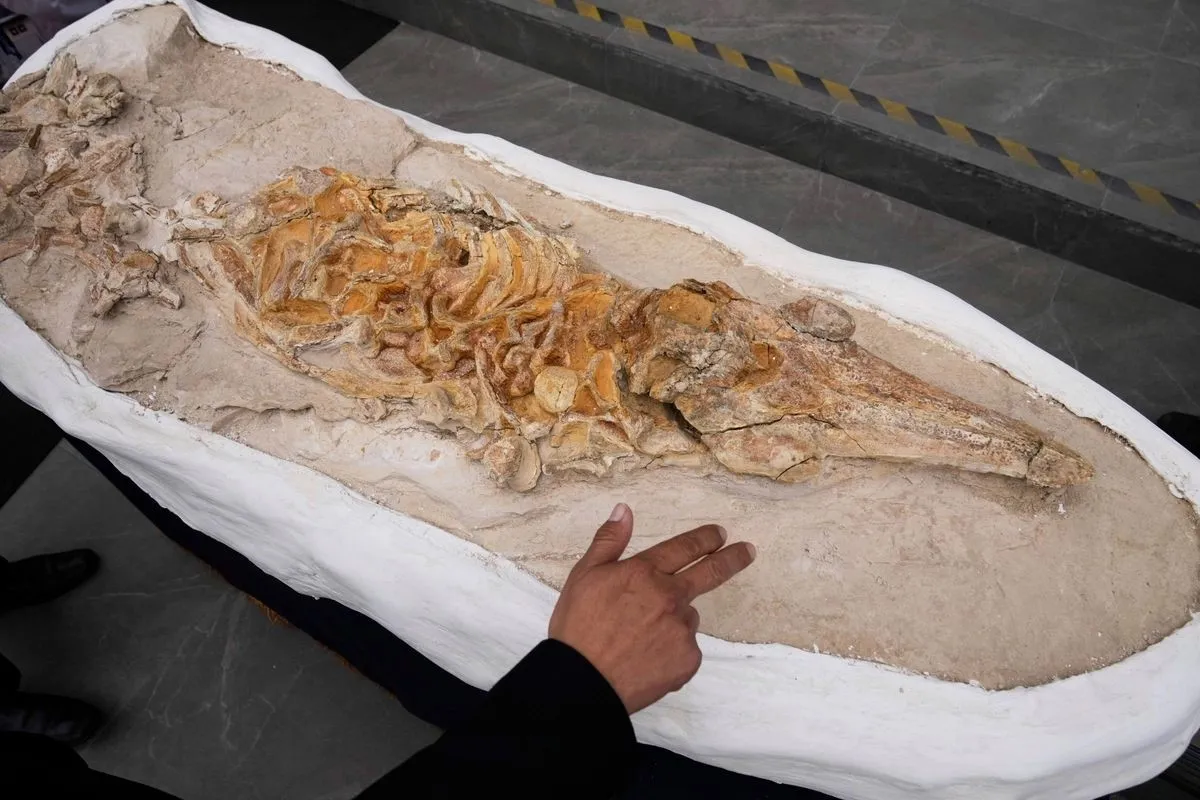 Peru’da Ocuaje Çölü’nde balık fosili bulundu