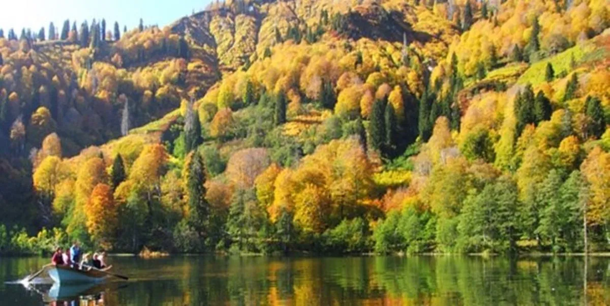 Koruma adı altında “yatırım” izni I