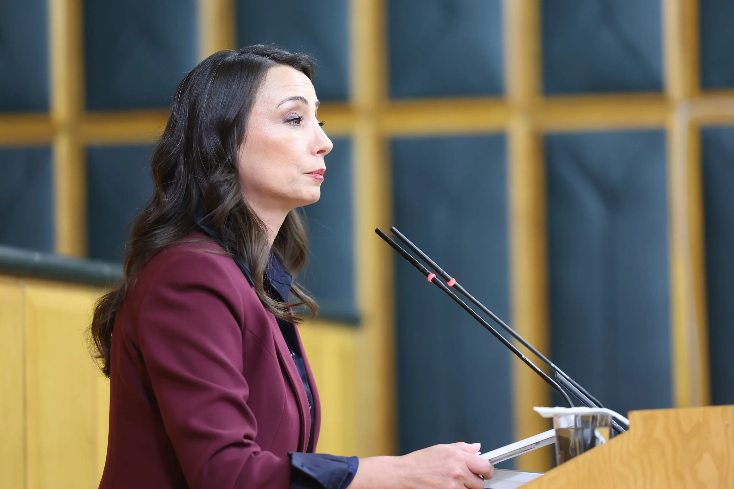 Bütçe görüşmelerine geçilmeden…