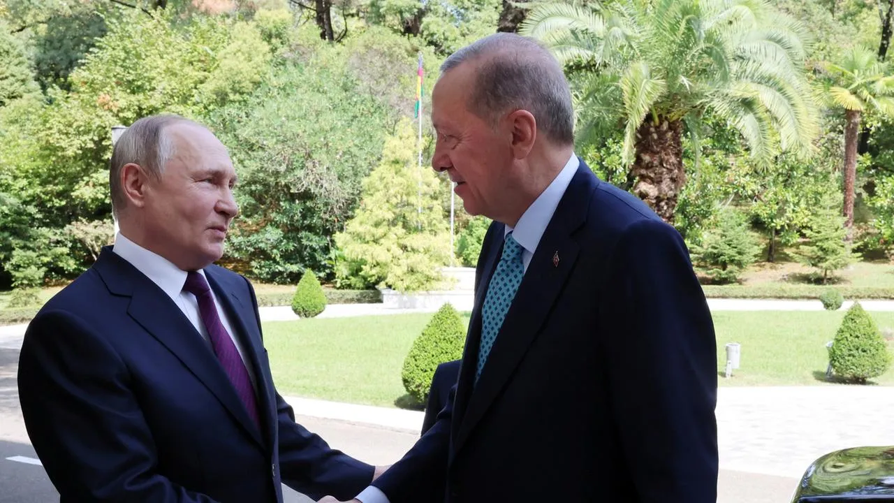 Erdoğan, Putin ile görüştü