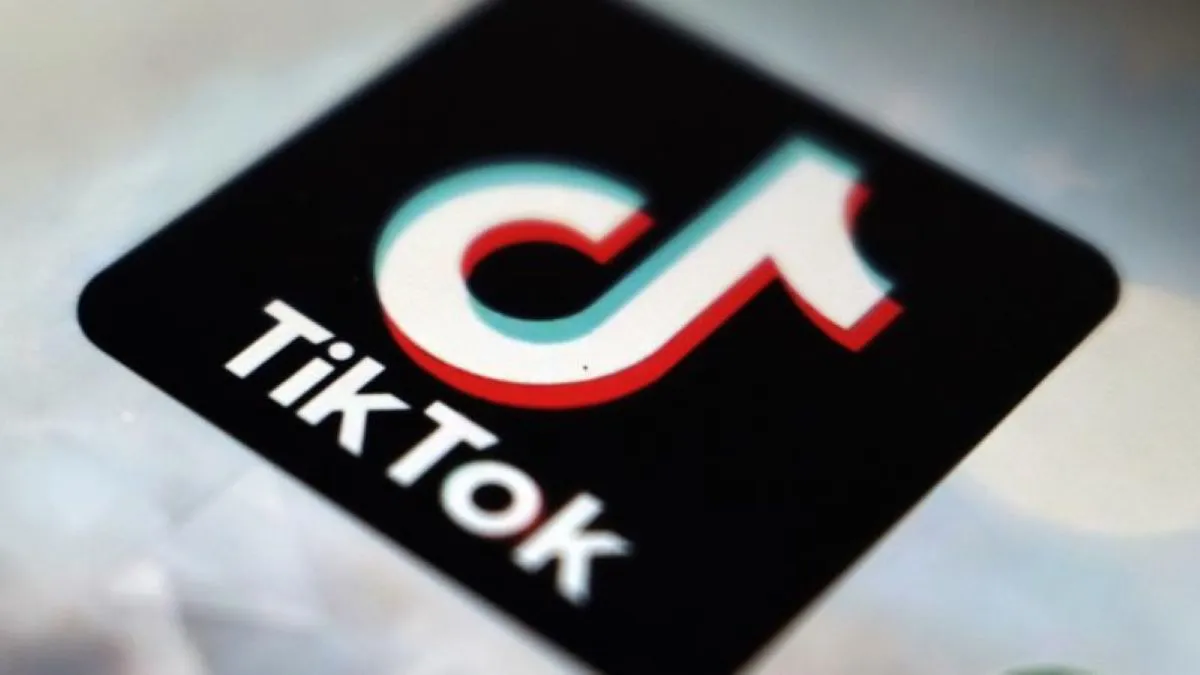 TikTok ekonomisi I