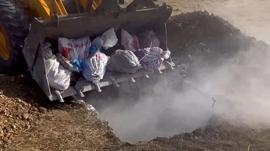 Tarım ve Orman İlçe Müdürlüğü’nden kuş gribi vahşeti