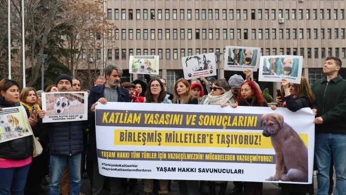 “ABB barınaklarında 17 bin 790 köpek öldü”