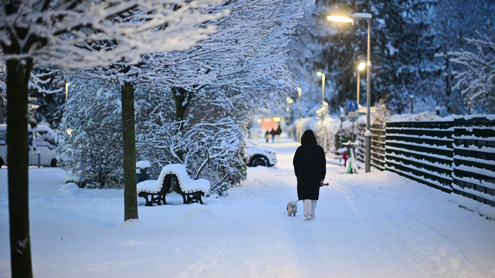 Meteorologlardan Avrupa için sert kış uyarısı
