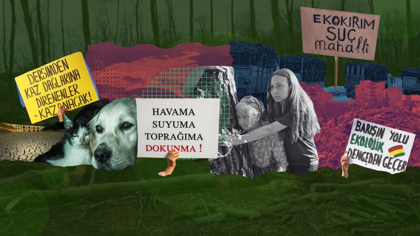 Ekoloji panorama 2025