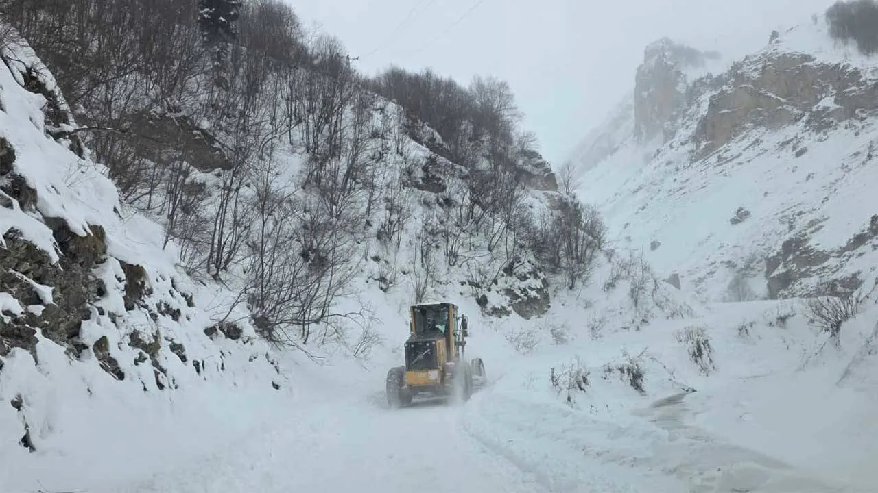 Artvin’de 3 çoban çığ altında kaldı