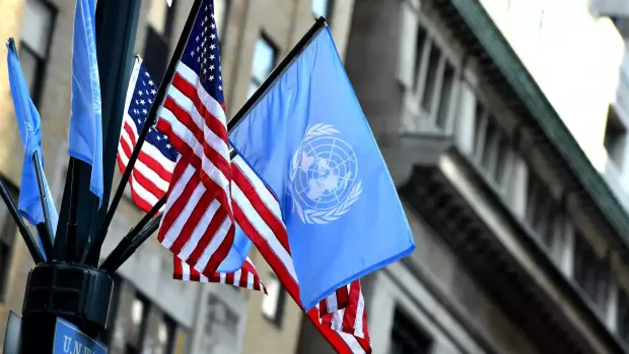 UNRWA, WHO, UNESCO, BM İnsan Hakları Konseyi…