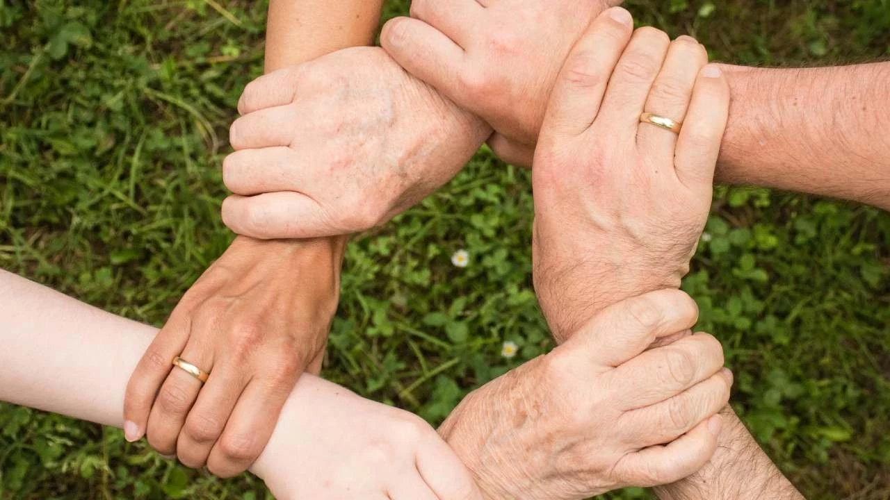 ‘Dünyada Toplumsal Güven’ — İskandinav ülkeleri zirvede; Türkiye gerilerde görseli