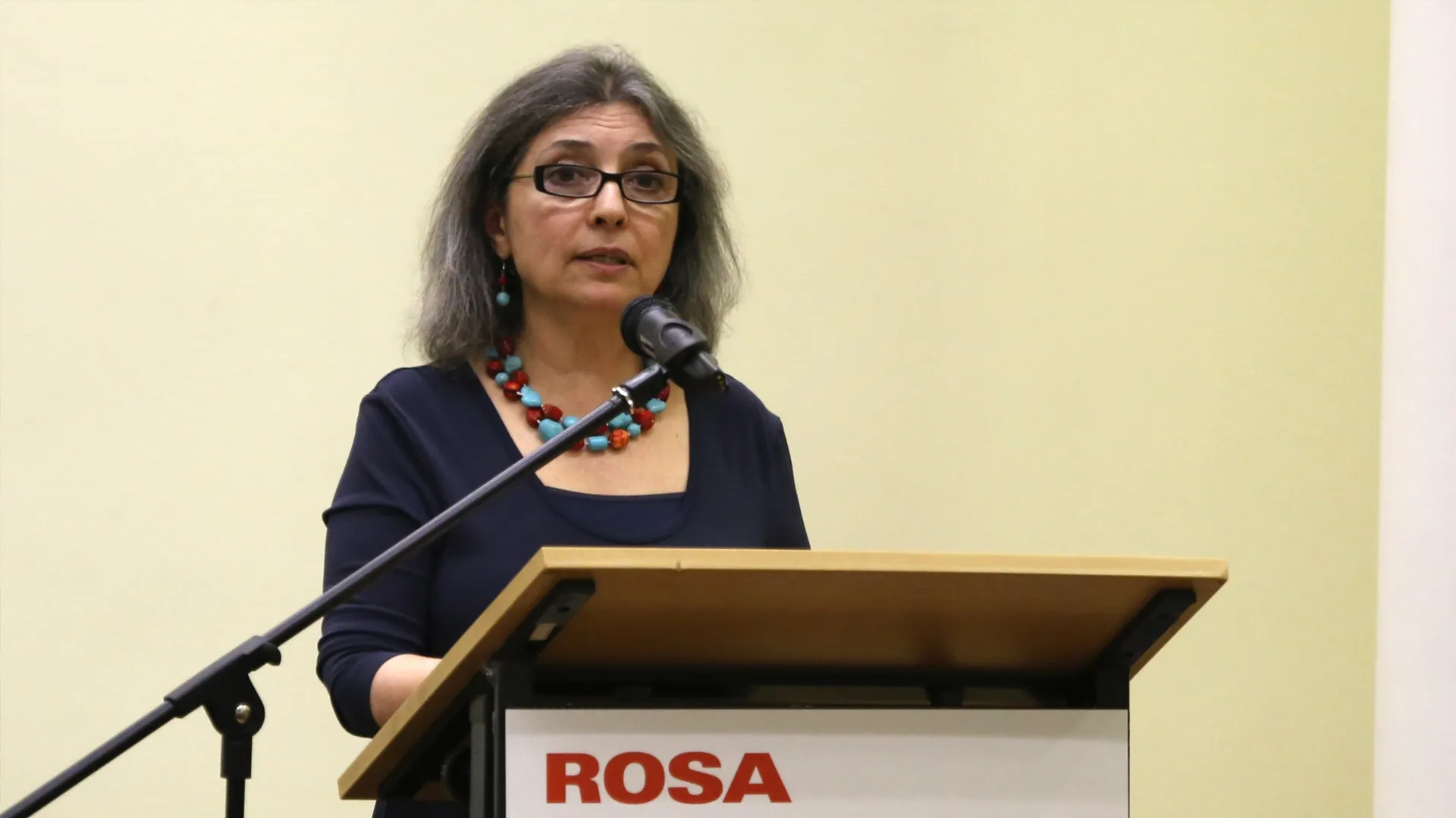 Shahrzad Mojab’tan ‘dış müdahale’ vurgusu:
