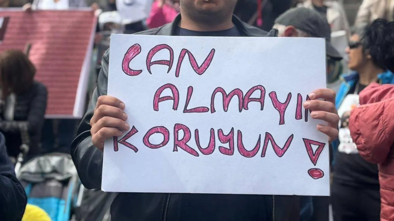 hayvan-haklari