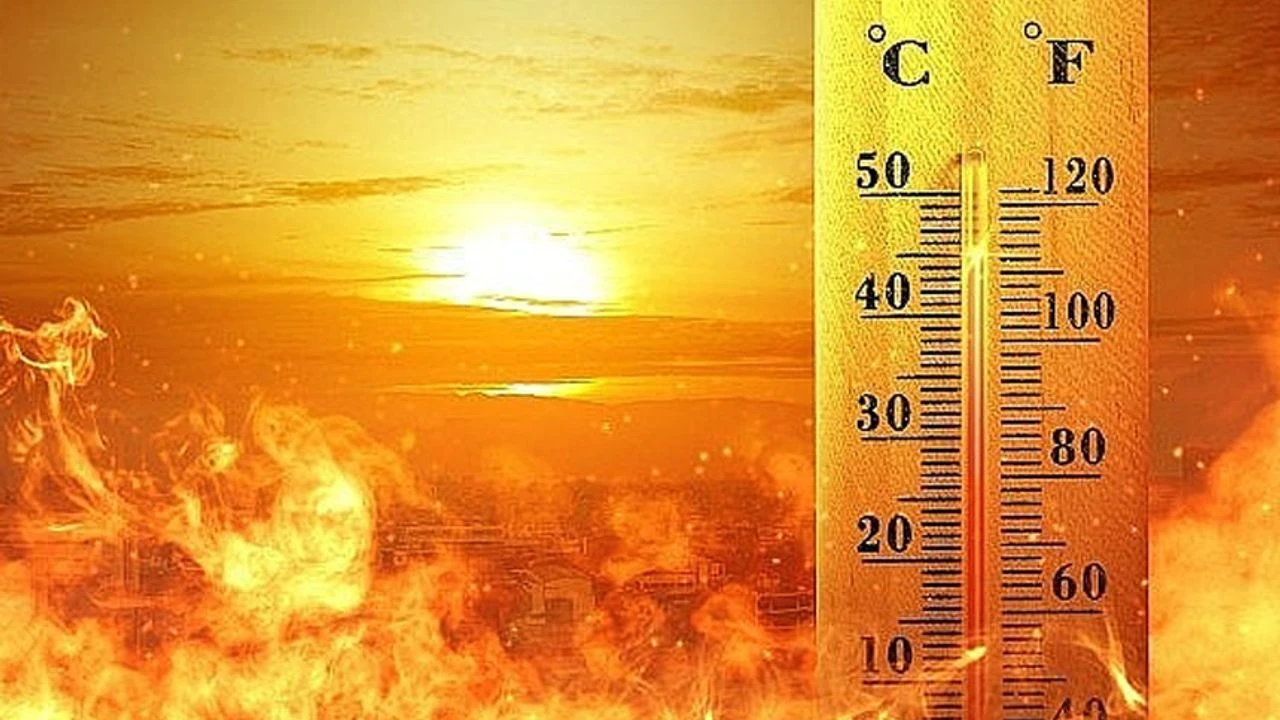 Dünya Meteoroloji Örgütü duyurdu