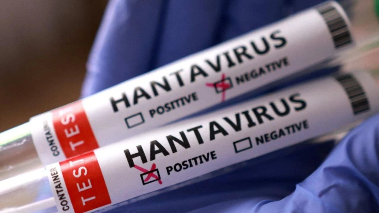 Hantavirüs