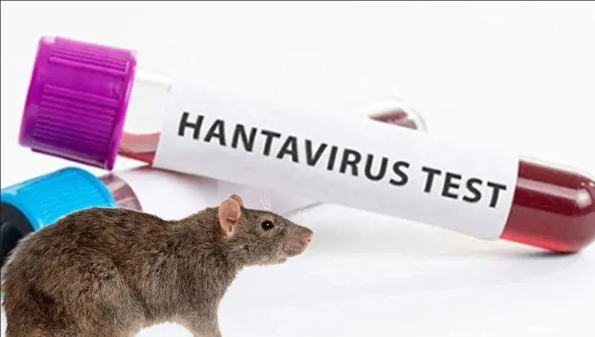 hanta