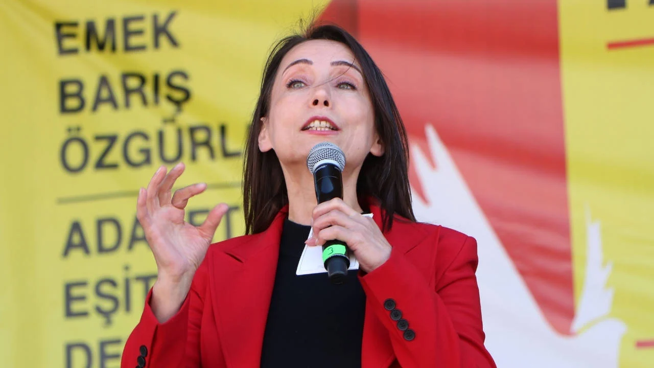 DEM Parti Eş Genel Başkanı Hatimoğulları: