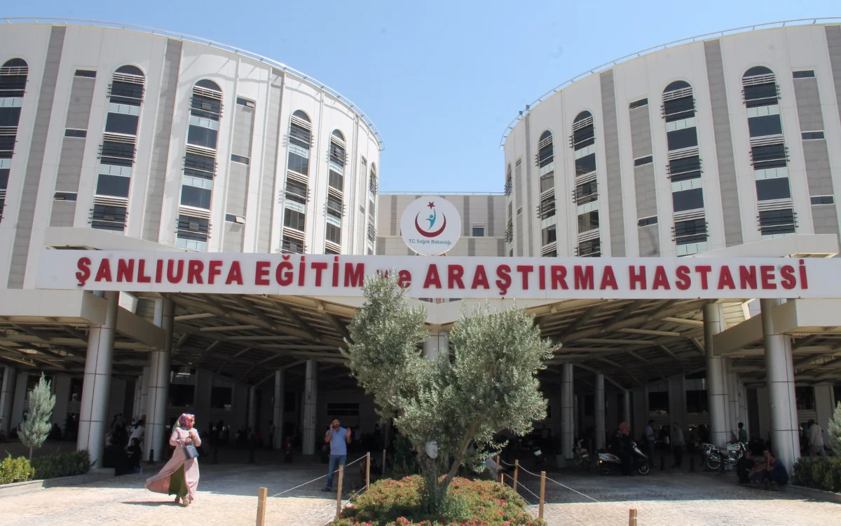 Mezarlıkta bir varilde 21 cenin bulunmuştu