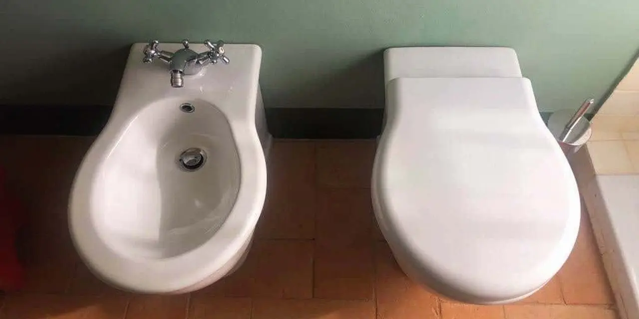 Avrupa’daki evlerde neden iki klozet yan yana? İşin gerçeği öğrenildi