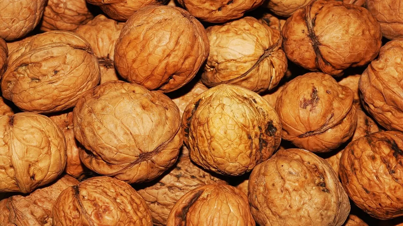 Günde 5 Adet Ceviz Yerseniz O Sorunlar Azalabiliyor! Uzmanların Dikkat Çektiği Faydalar