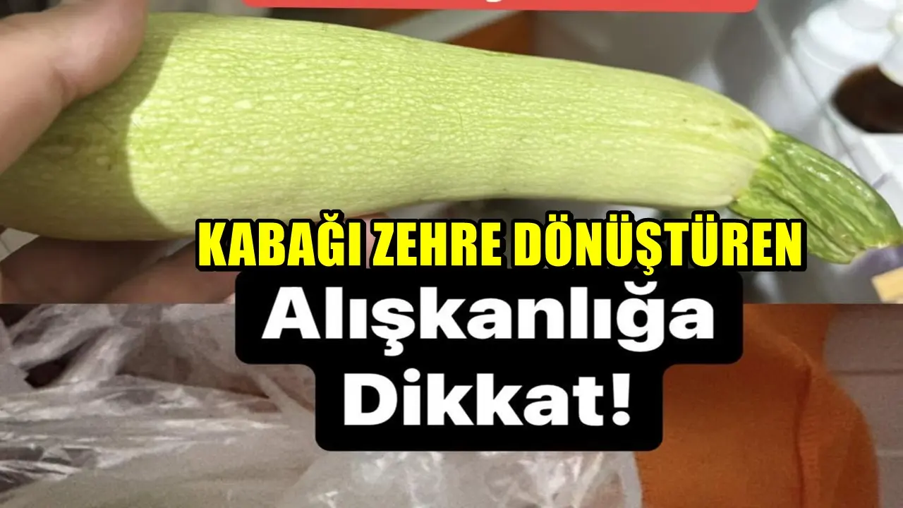 Kabak Alırken ve Saklarken Bu Hatayı Yapmayın! Sağlığı Tehlikeye Atabilir