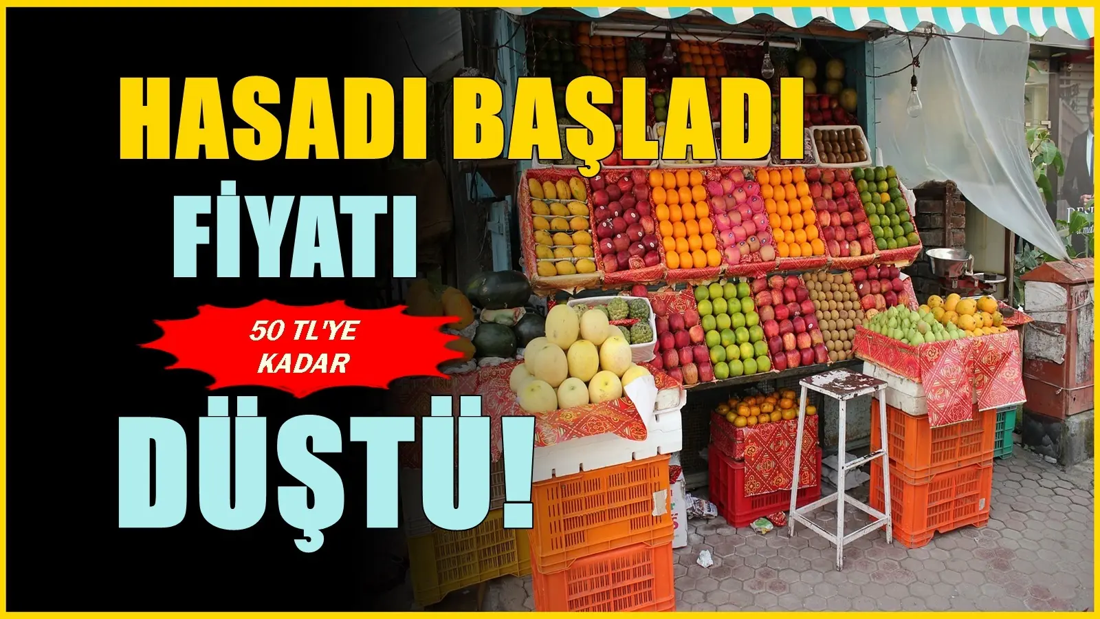 300 liradan satılıyordu! Hasat başlayınca marketlerde kilosu 50 liraya kadar indi