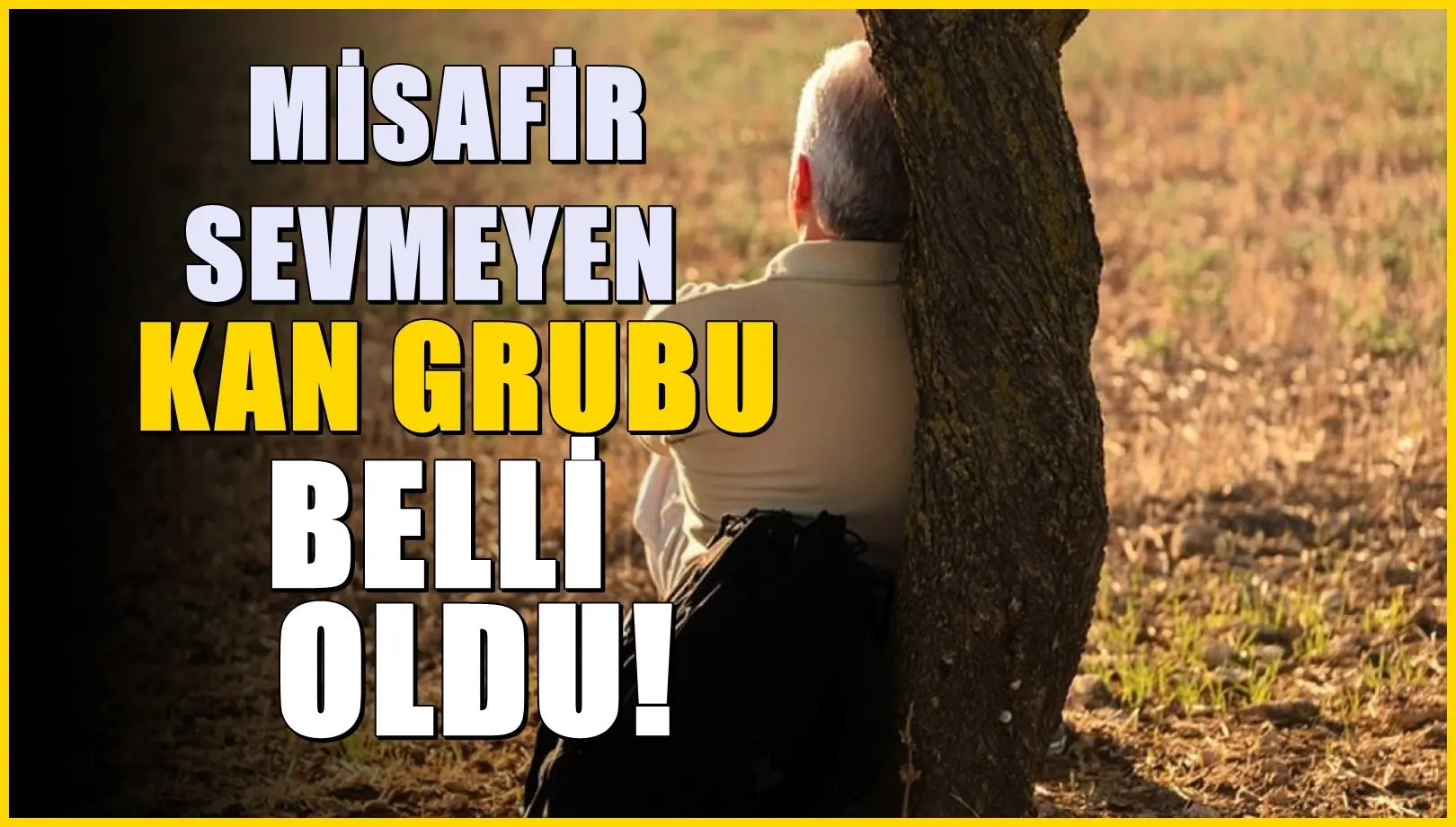 Misafir sevmeyen kan grubu belli oldu: Yalnız kalmak istiyorlar